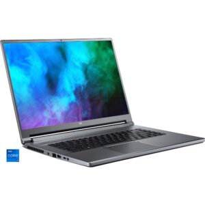 Acer Predator Triton 500 (PT516-51s-729W)