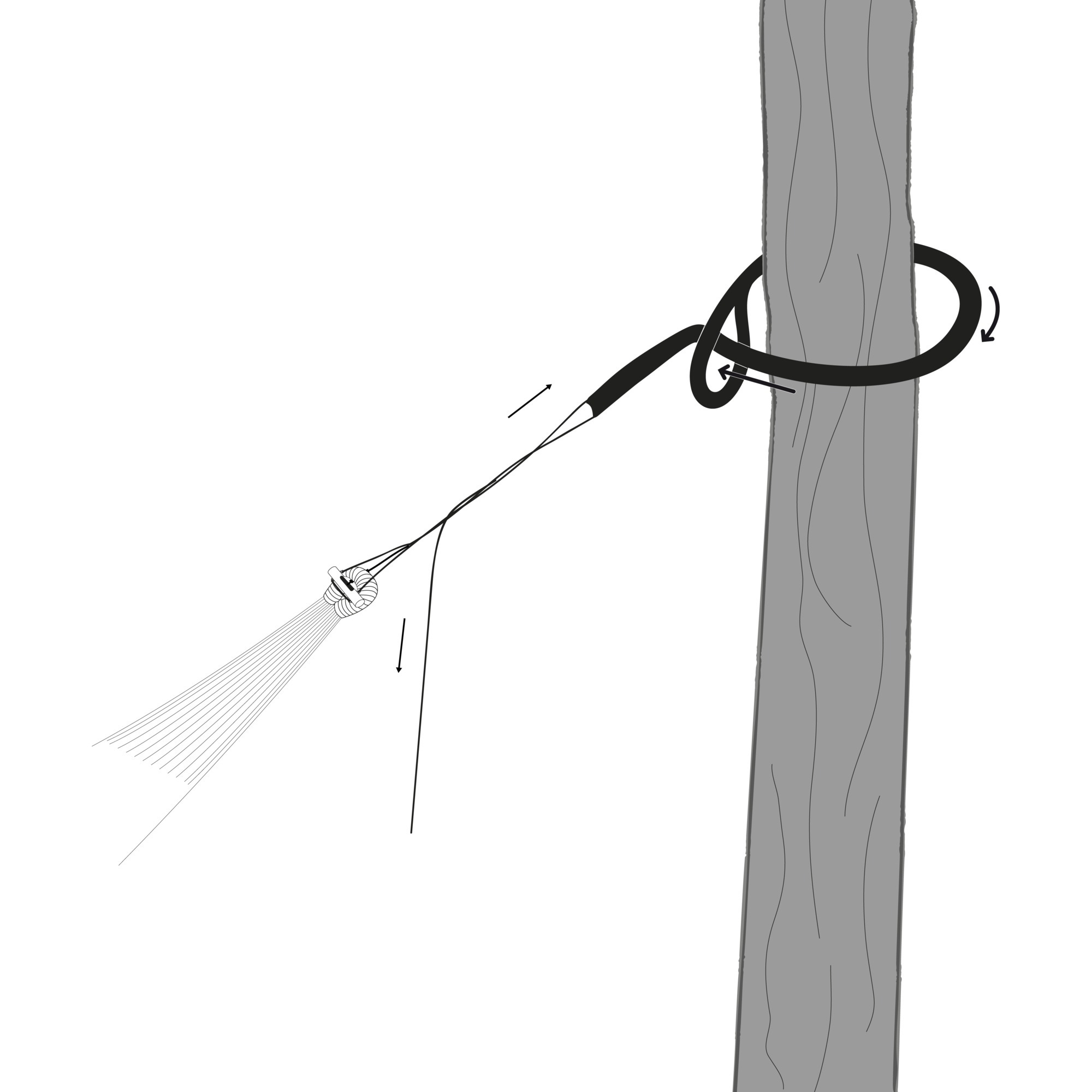 amazonas Adventure Rope