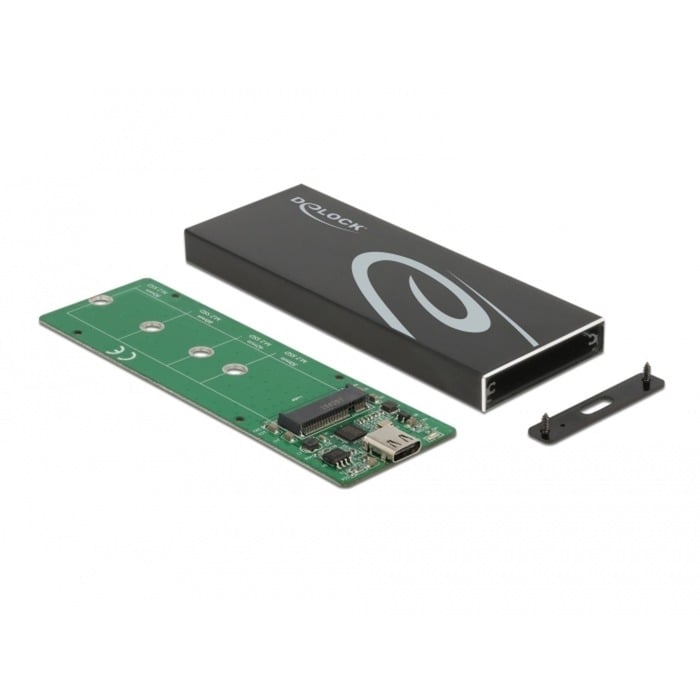 Delock Externes Gehäuse für M.2 SATA SSD