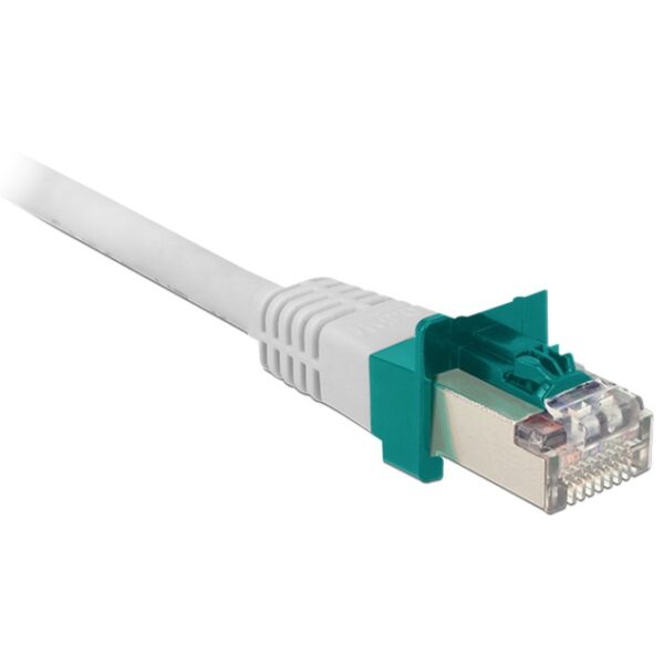 Delock RJ45 Secure Clip