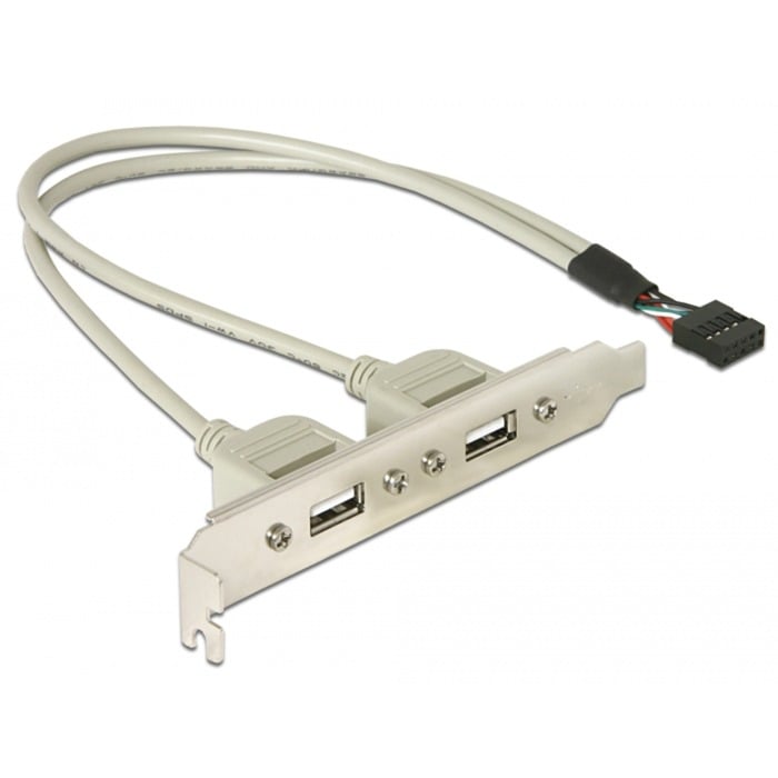 Delock USB 2.0 Slotblende