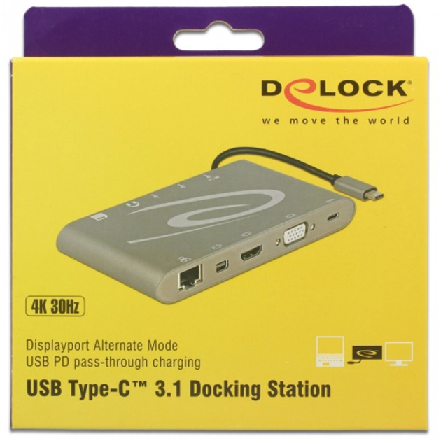 Delock USB Type C 3.1 Dockingstation 4K