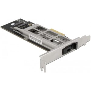 Delock Wechselrahmen PCI Express Karte für 1 x M.2 NMVe SSD