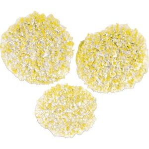 Karcher Polierpads Stein / Linoleum / PVC