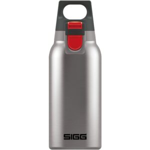 Sigg Hot & Cold One Brushed 0